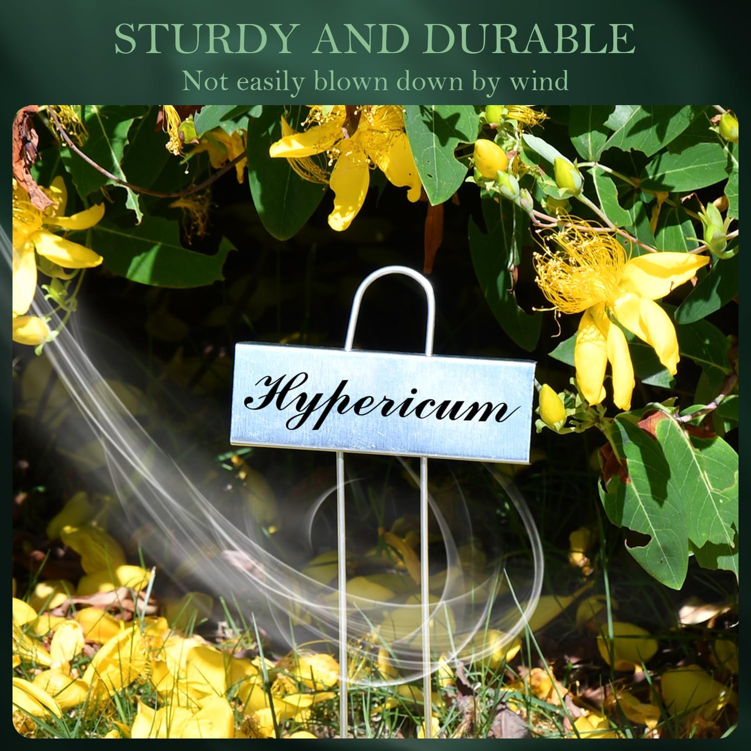 50 Pack Metal Plant Labels for Outdoor Garden Waterproof Plant Markers, Labels Garden Markers for Seedlings Herbs