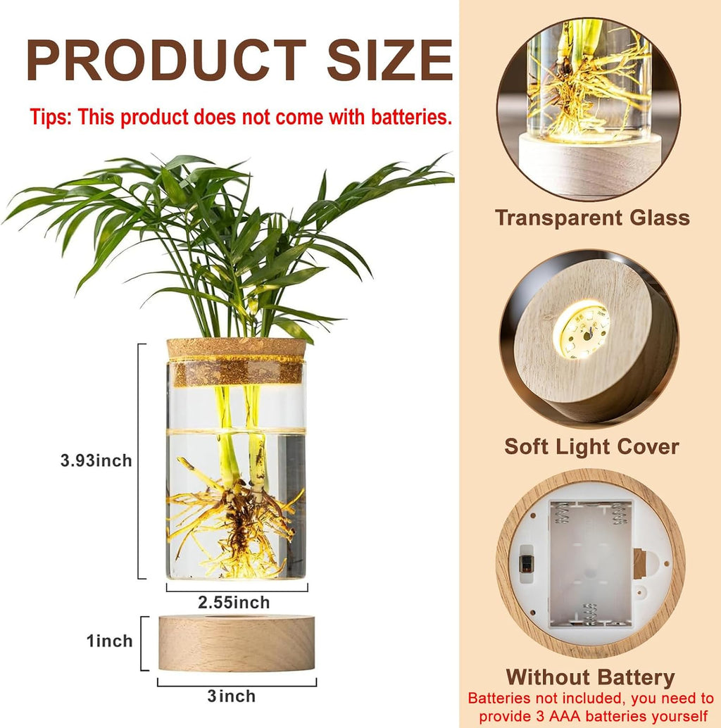 Glass Plant Propagation Stations, Propagation Vases for Plants with Ambient Light Base, Hydroponic Vase for Home &