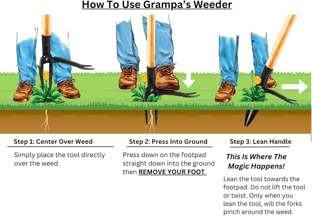 Grampa's Weeder Original Stand Up Weed Puller Tool with Bamboo Long Handle | 4-Claw Steel Head • Weeding Tool • Weed