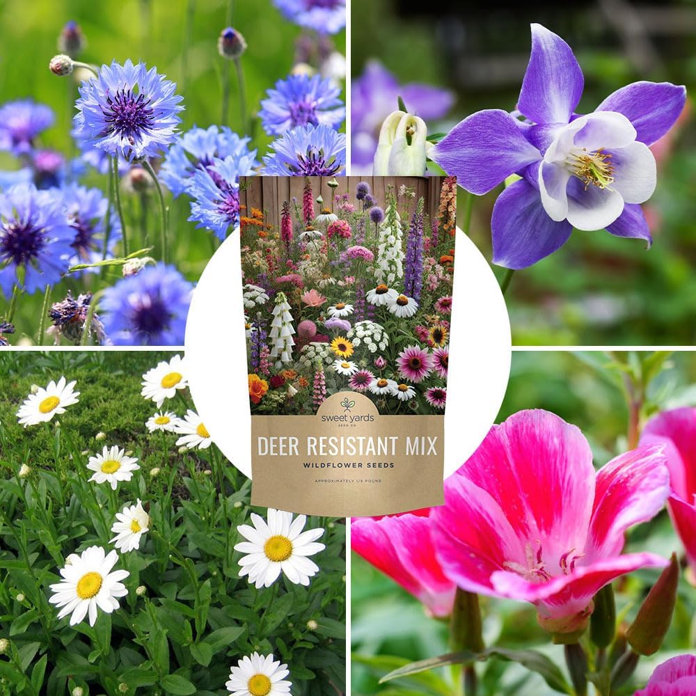 Deer Resistant Wildflower Seed Mixture - Bulk 1/4 Pound Bag - Over 60,000 Deer Tolerant Seeds - Open Pollinated and Non