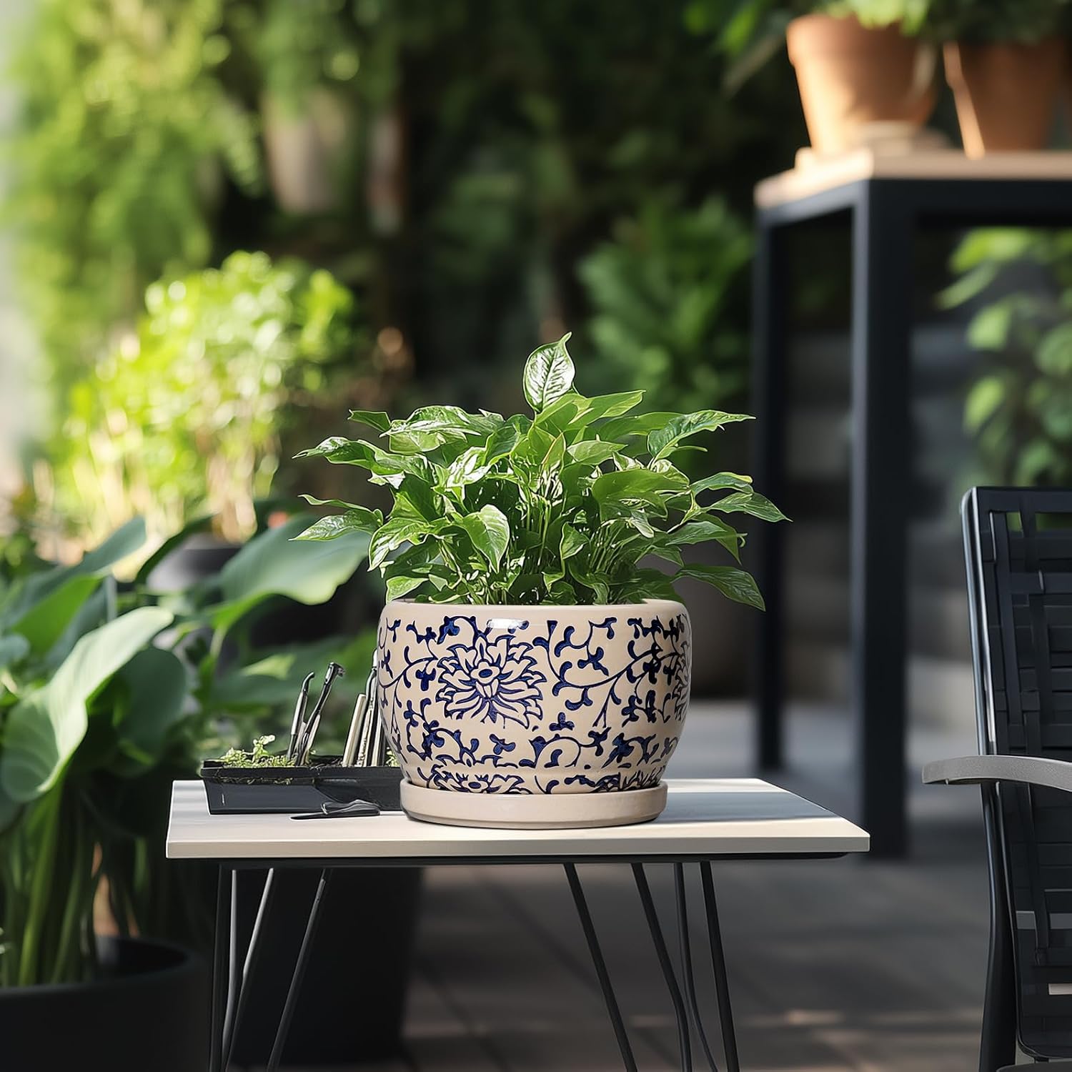 SQOWL Ceramic Planters for Indoor Plants - 8 inch Plant Pot with Drainage Hole and Saucer, Decorative Flower Pot