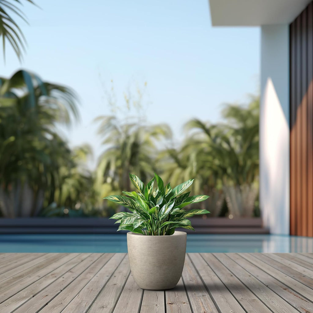 Kante Small Round Bowl Weathered Concrete Planter 10" Dia, Outdoor | Rubber Plug for Indoor, Drainage for Garden