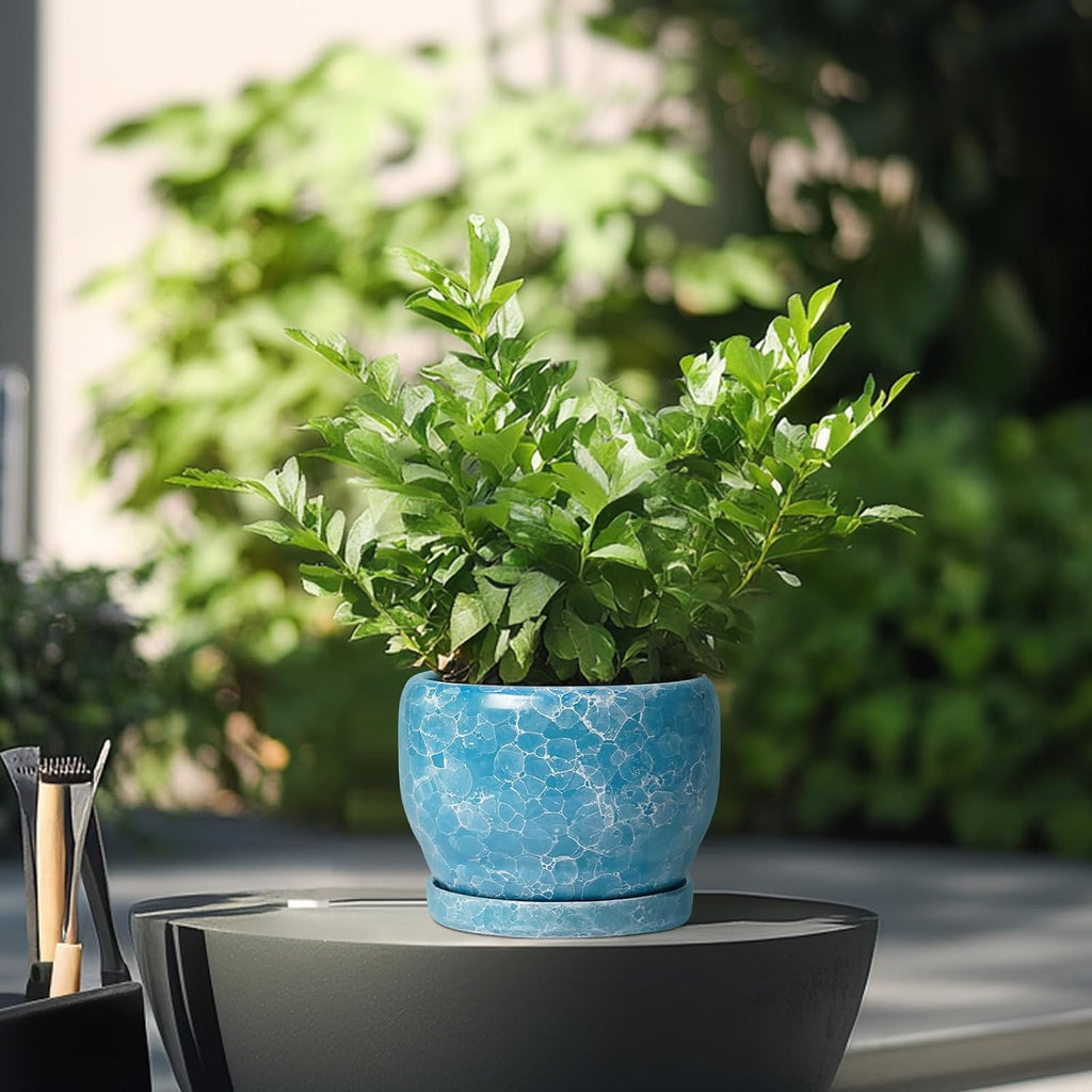 SQOWL 6 Inch Plant Pot - Ceramic Indoor Planter with Drainage Hole and Saucer, Decorative Ceramic Flower Pot Outdoor