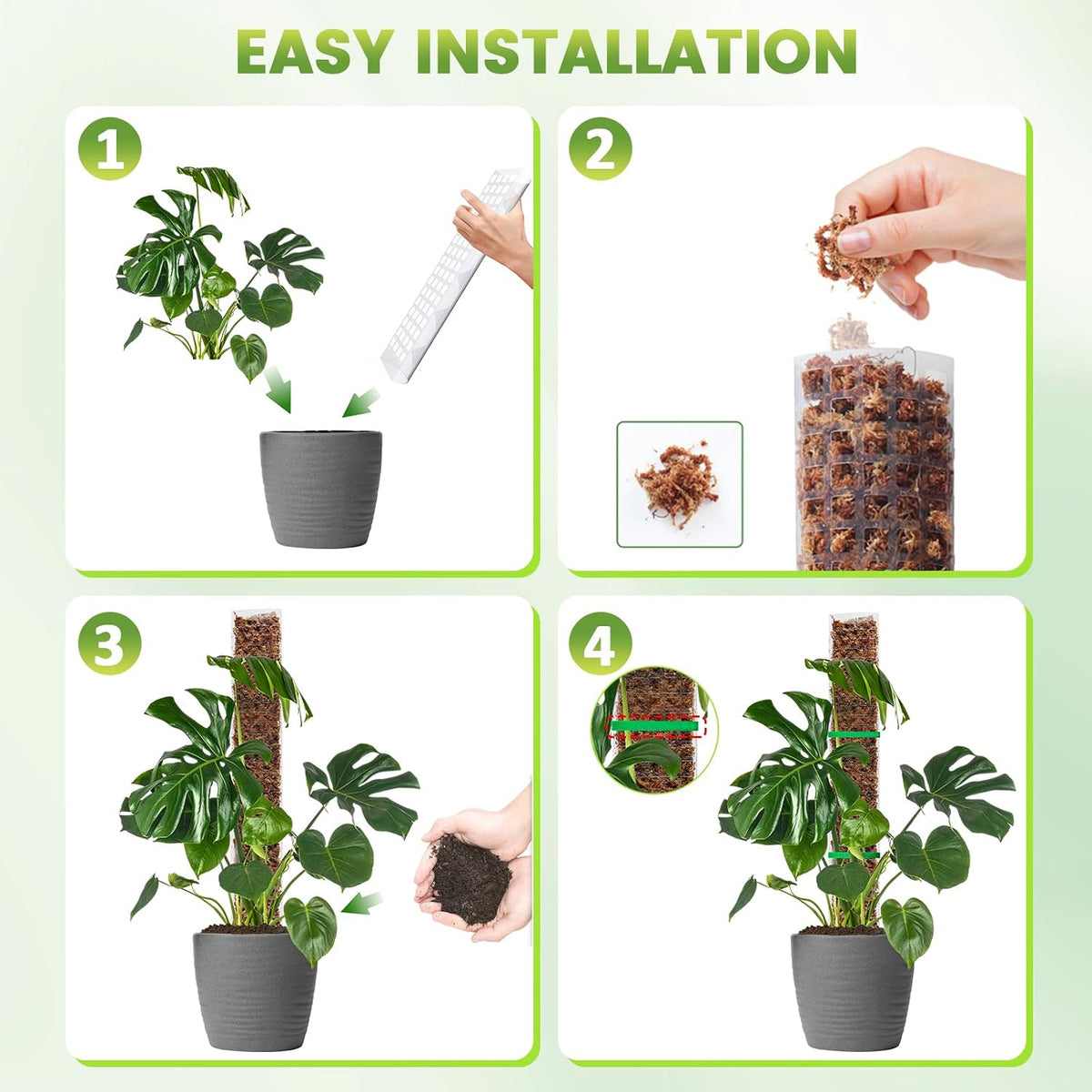 EOX Plastic Moss Pole for Monstera, 24/36/48-Inch, 6-Pack | Clear D-Shaped Design, Fold-to-Assemble, Sphagnum Moss Not