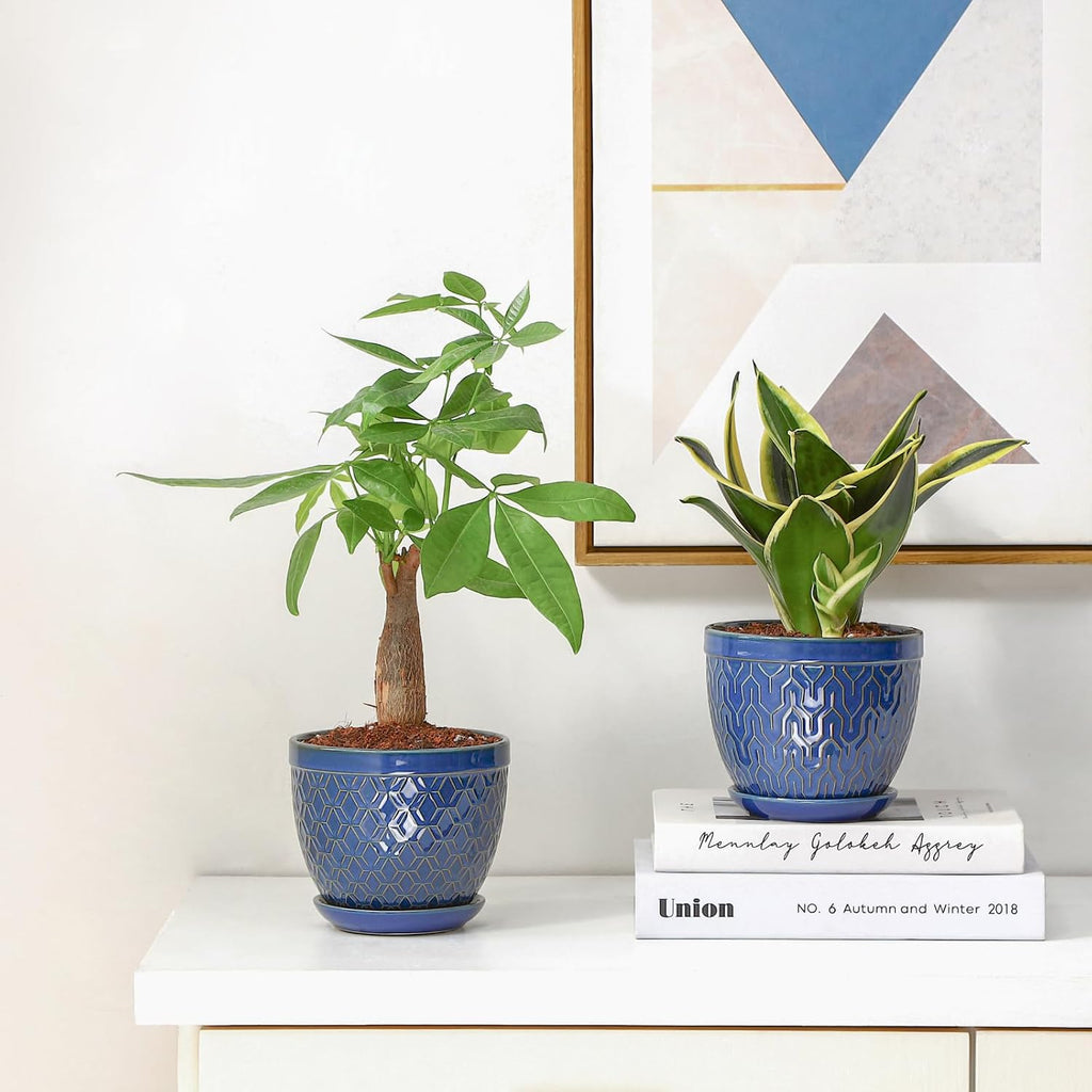 Sureasy Ceramic Indoor Plant Pots - 5.6 Inch Flower Pots for Plants with Drainage Hole and Saucer, Embossed Planter for