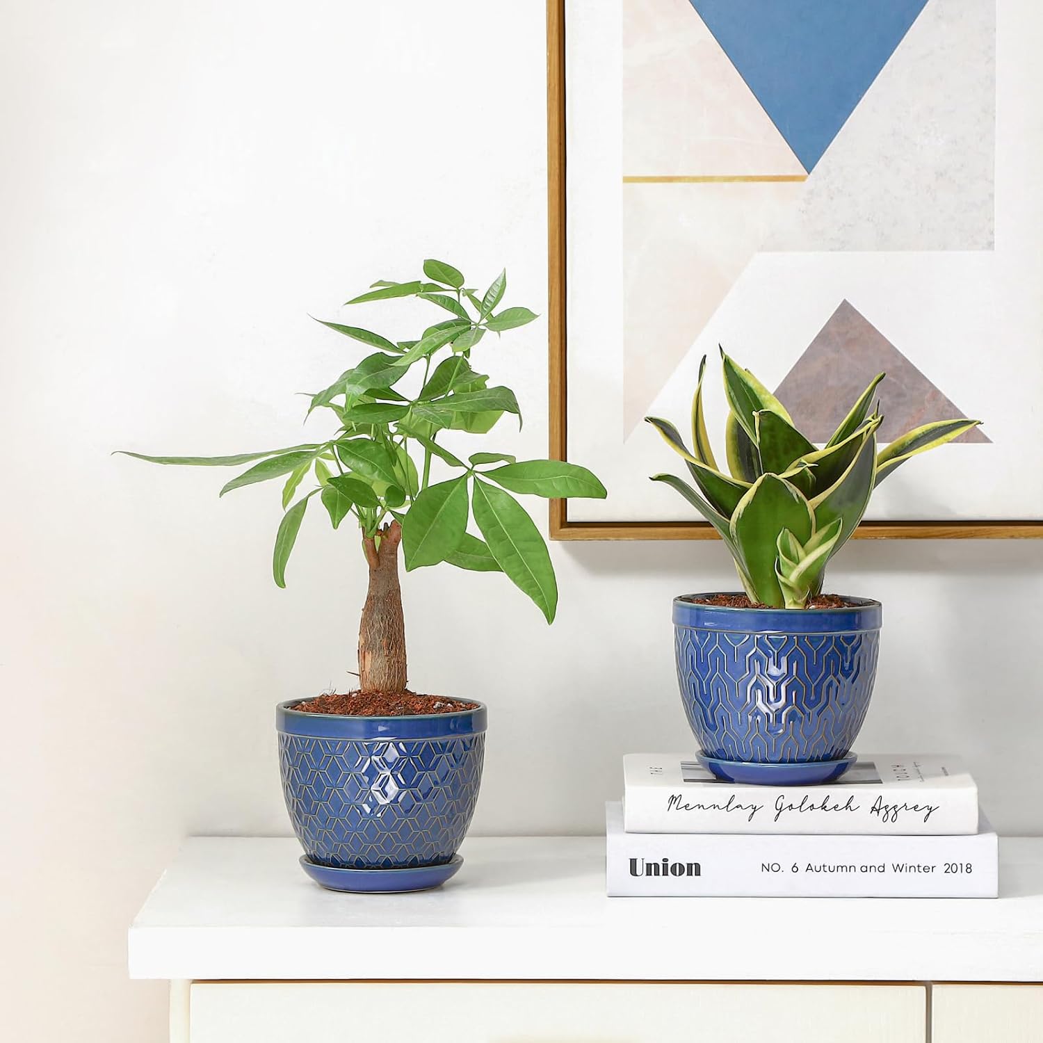 Sureasy Ceramic Indoor Plant Pots - 5.6 Inch Flower Pots for Plants with Drainage Hole and Saucer, Embossed Planter for