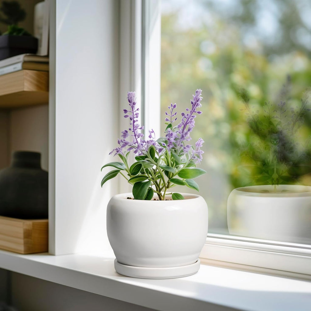 SQOWL Ceramic Flower Pots - 6 Inch Plant Pot Indoor Outdoor, Ceramic Planter with Drainage Hole and Saucer, Modern