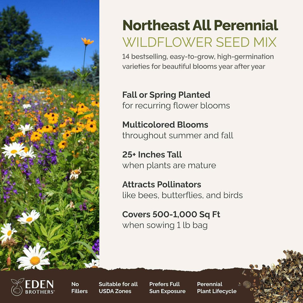 Eden Brothers Northeast All Perennial Wildflower Mixed Seeds, 1 lb | Mixed Seeds for Planting, 480,000+ Seeds with