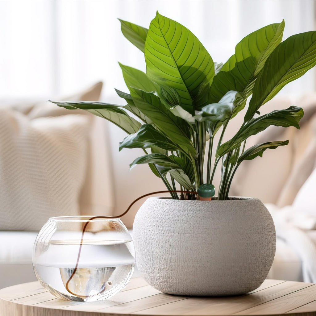 Blumat Classic Self-Watering Stakes - Prevents Overwatering and Underwatering for Healthy Growth While You are Away