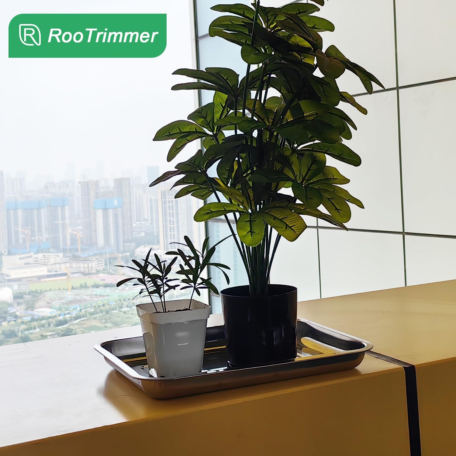 Stainless Metal Trays, Stainless Steel Seed Starter Carry Tray Fit 54 Cell Plug Tray, Nursery Seedling Pots Water