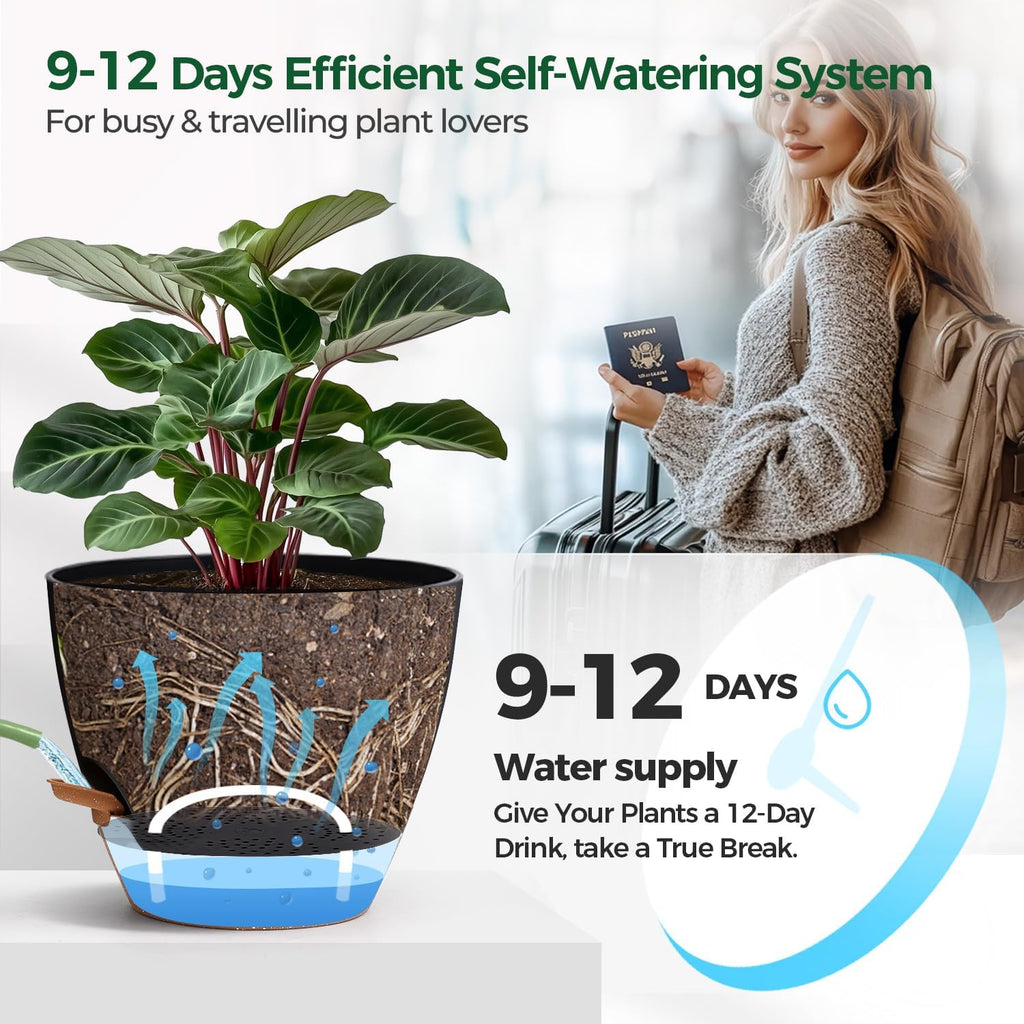 T4U Self Watering Pots for Indoor Plants, 10 Inch, 2 Pack, Black | Visible water level window, Monstera pothos and ZZ