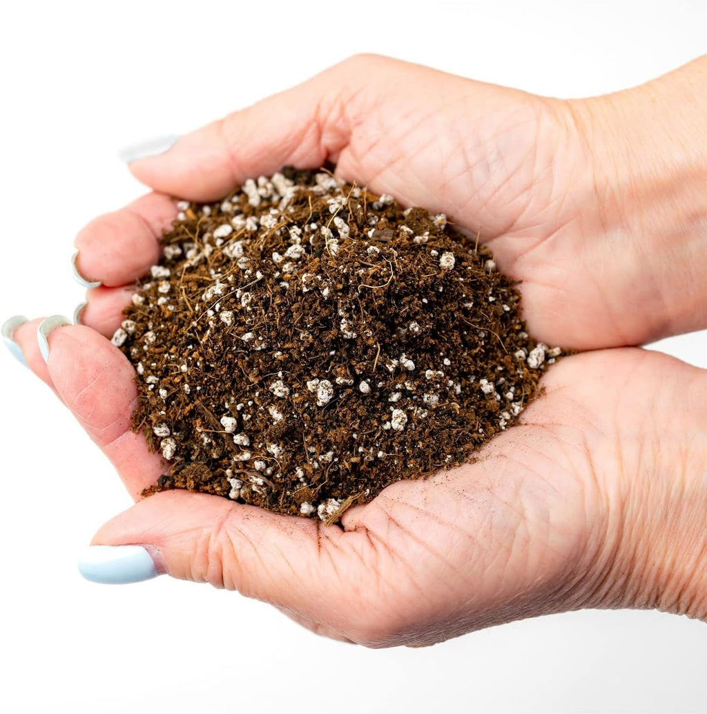 Professional Carnivorous Plant Soil - Ready to Use for Venus Flytraps, Sundews, Pitcher Plants, Butterworts | Peat