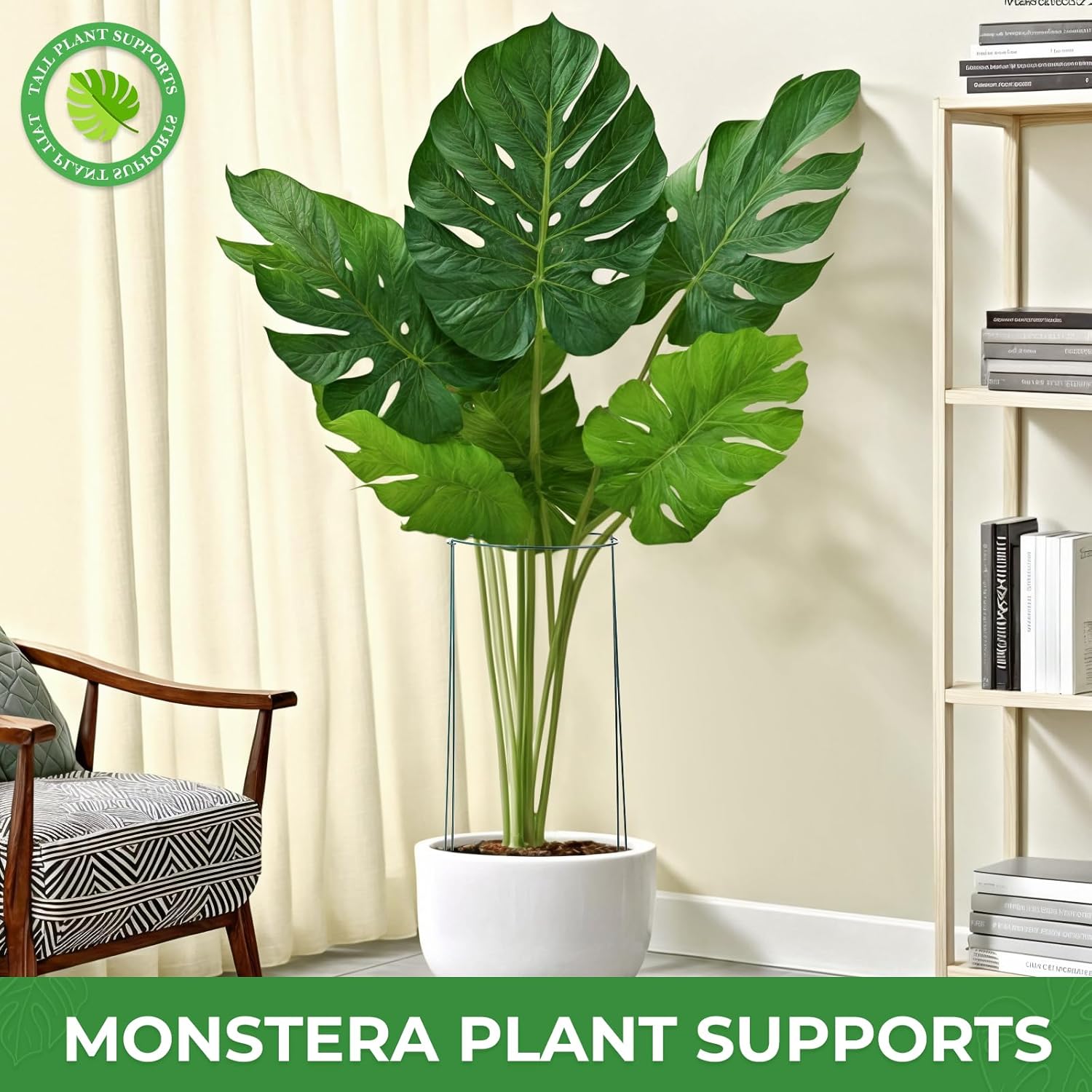 LEOBRO Plant Support Plant Stakes, 6pcs Peony Cages and Supports, Metal Garden Stakes Plant Supports, Plant Support