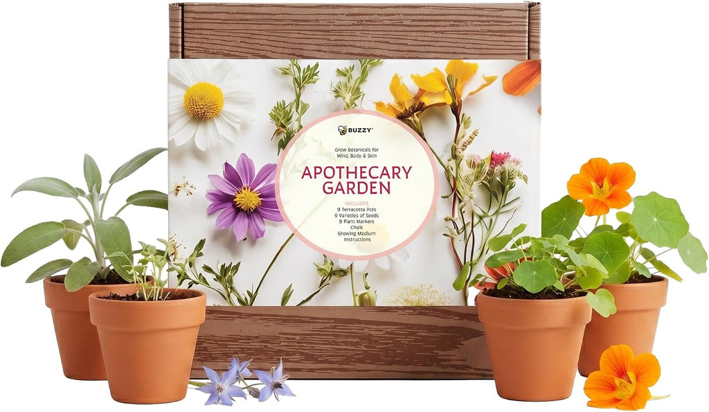 Buzzy Seeds Apothecary Garden Wellness Kit - Mini Terracotta Pot Grow Set - Complete Indoor/Outdoor Gardening Kit with