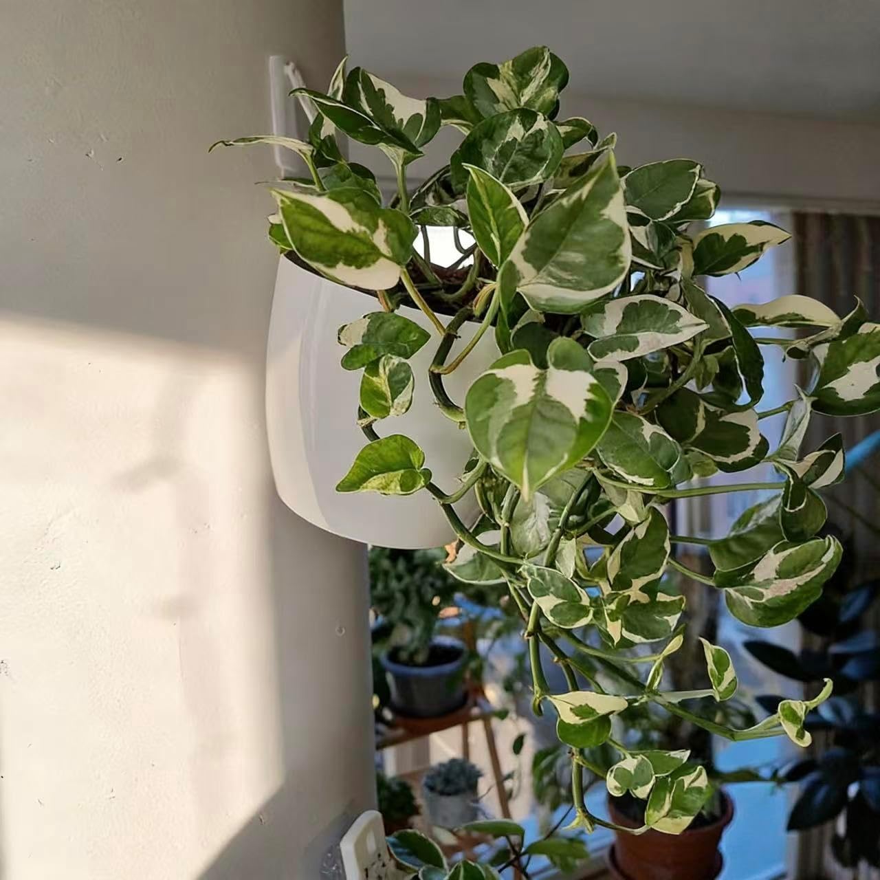 ORIMERC 6 Pack Hanging Planter Wall Planter Self Watering 5 inch Plant Pot with Hardware Vertical Planter Outdoor