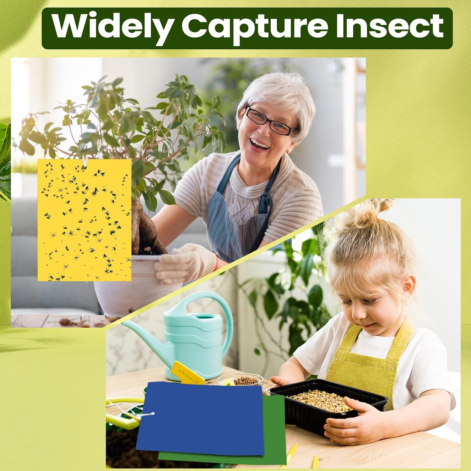 Qualirey 150 Pcs Yellow,Blue,Black Sticky Traps 6x8in for Gnats Indoor | Dual-sided for Fungus Gnats Fruit Flies