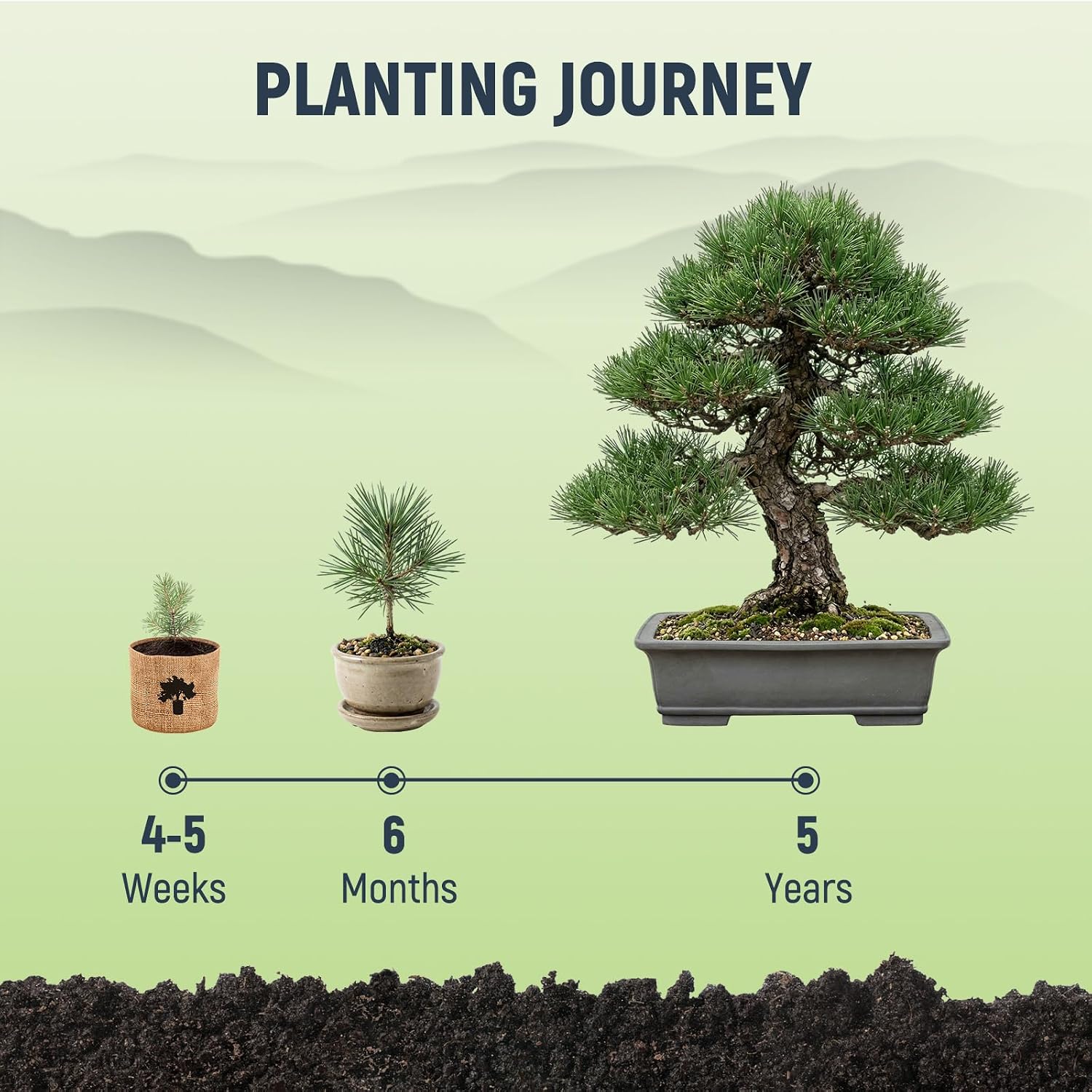 Bonsai Tree Kit - Complete Indoor Bonsai Starter Kit with 5 Unique Tree Seeds, Bonsai Tools - DIY Gardening Gift for