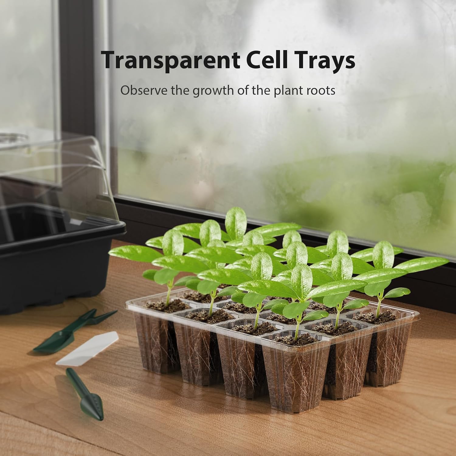 Seed Starter Tray, 20PCS Seed Starter Kit, Seedling Starter Trays with Heightened Lids for Seed Staring, Indoor
