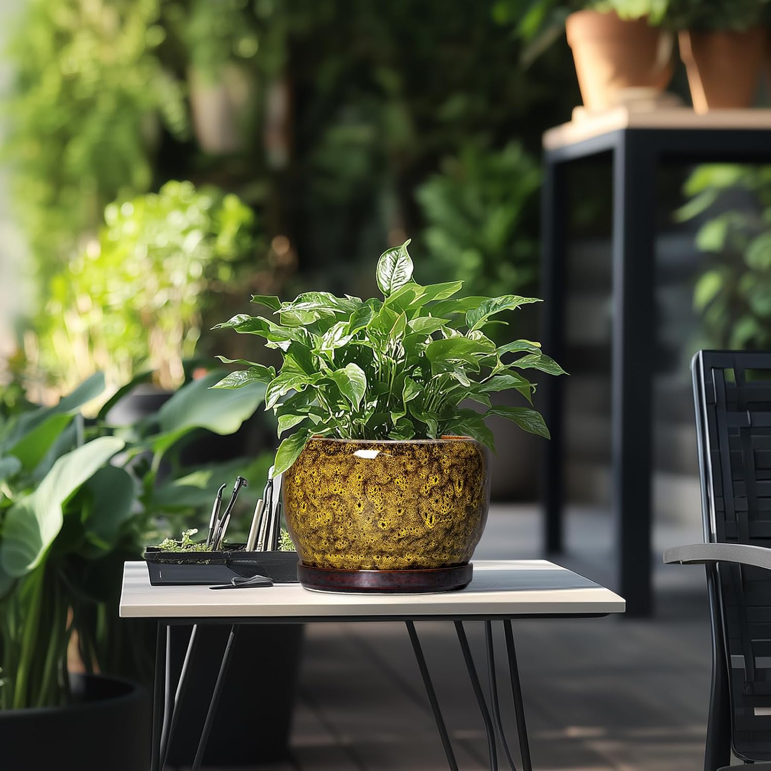SQOWL Ceramic Flower Pots - 8 inch Ceramic Planter for Indoor Plants, Decorative Plant Pots with Drainage Hole and