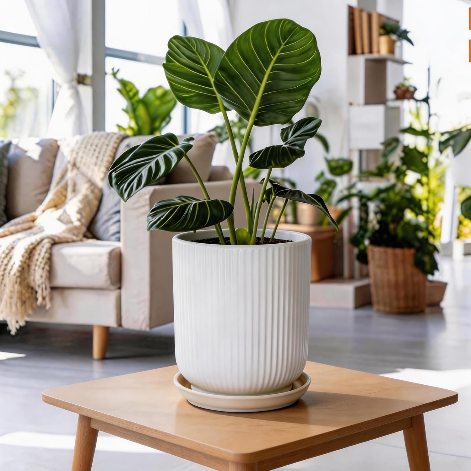 Deep Dream 8 Inch Ceramic Pots for Plants, Heavy Plant Pot for Indoor Outdoor Plants, Large Plant Pot with Drainage