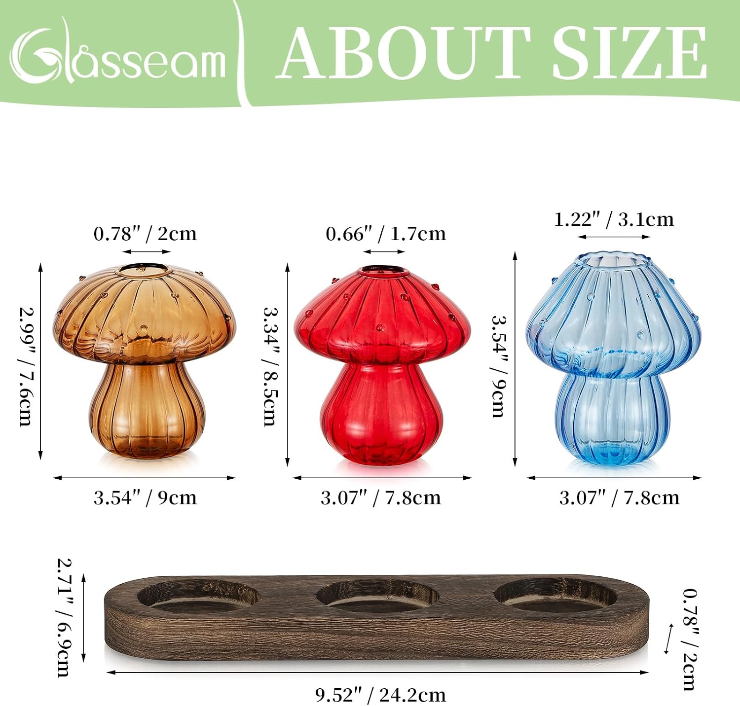 Glasseam 3Pcs Mushroom Propagation Station: Glass Terrarium Jar for Plants | With Wood Stand, Colorful Handmade