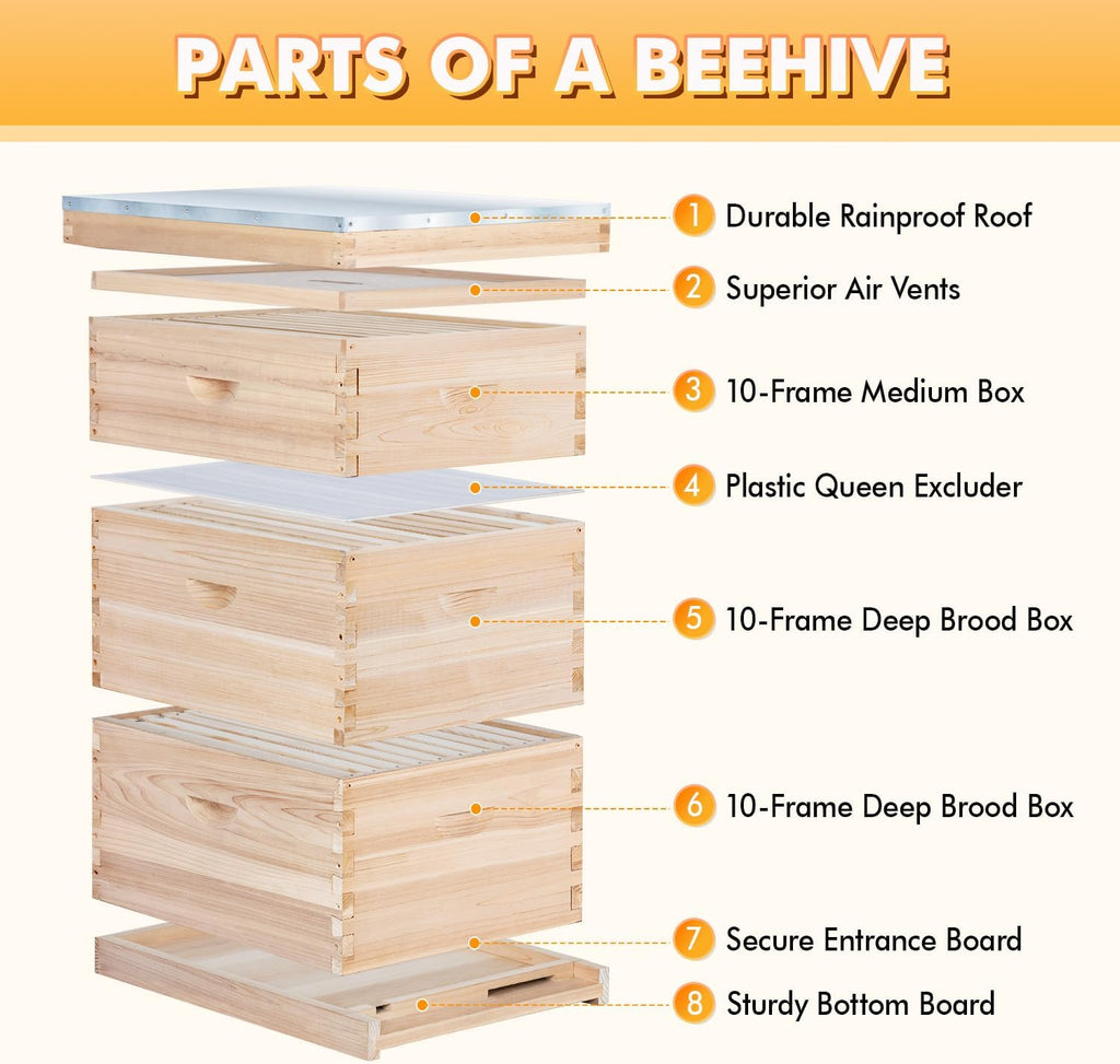 POLLIBEE Bee Hive,10 Frame Beehive Boxes Starter Kit, Langstroth Beehives Include 2 Deep Hive Boxes and 1 Medium Super