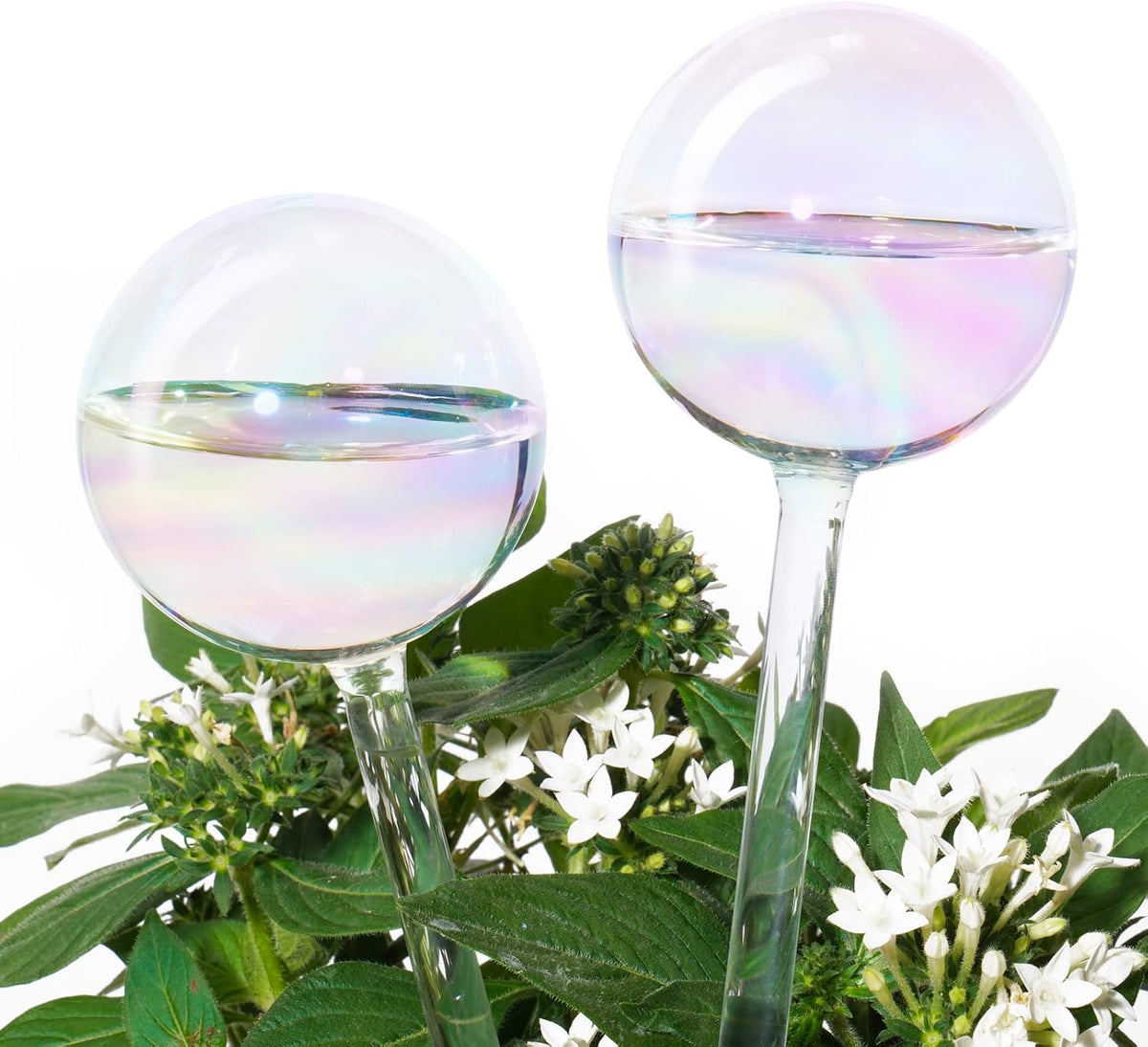 Tomorotec 2Pcs Rainbow Glass Plant Watering Globes, Self Watering Spikes