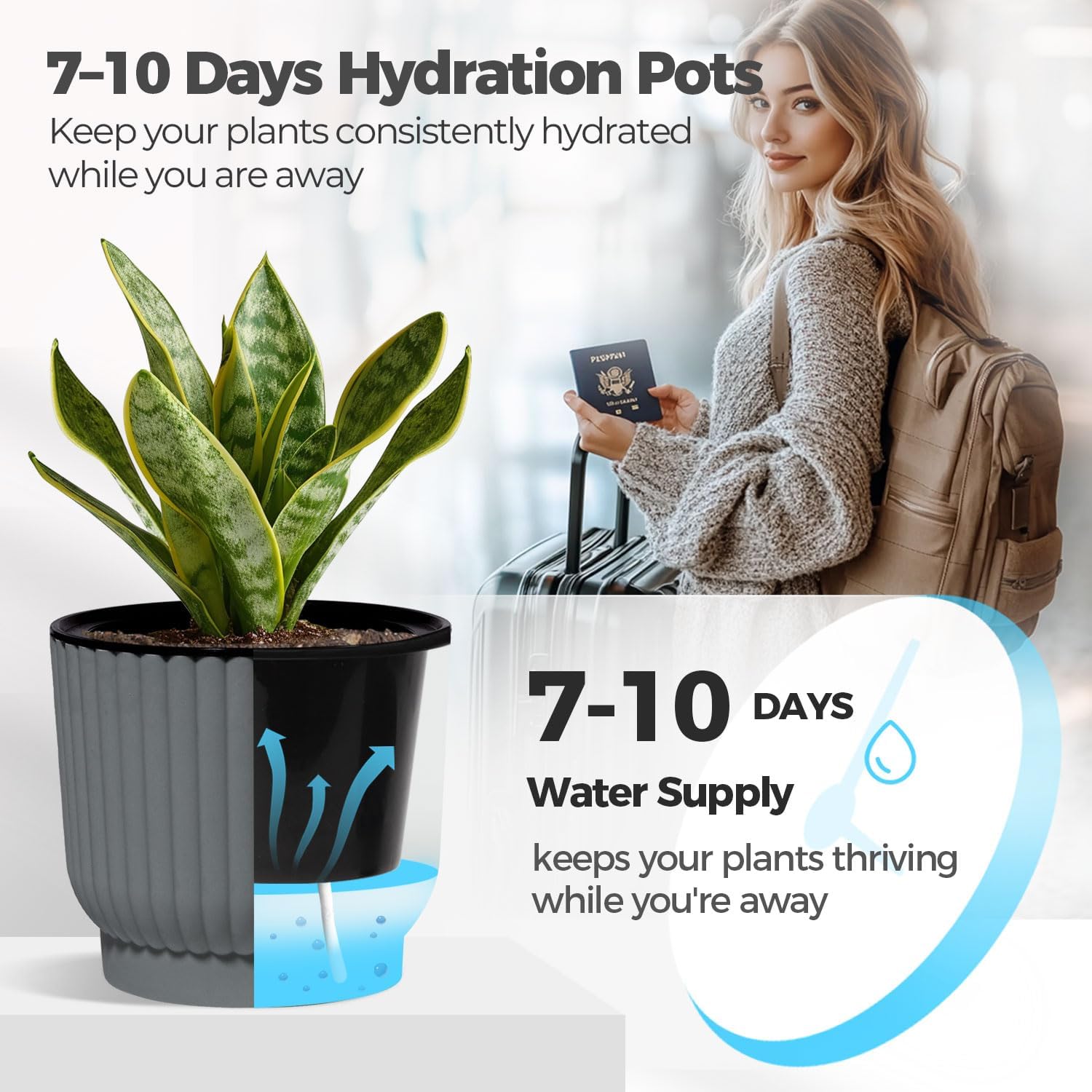 T4U Self Watering Pots for Indoor Plants, 7 Inch 4 Pack Planter Gray | African violet pothos ferns, Herb garden