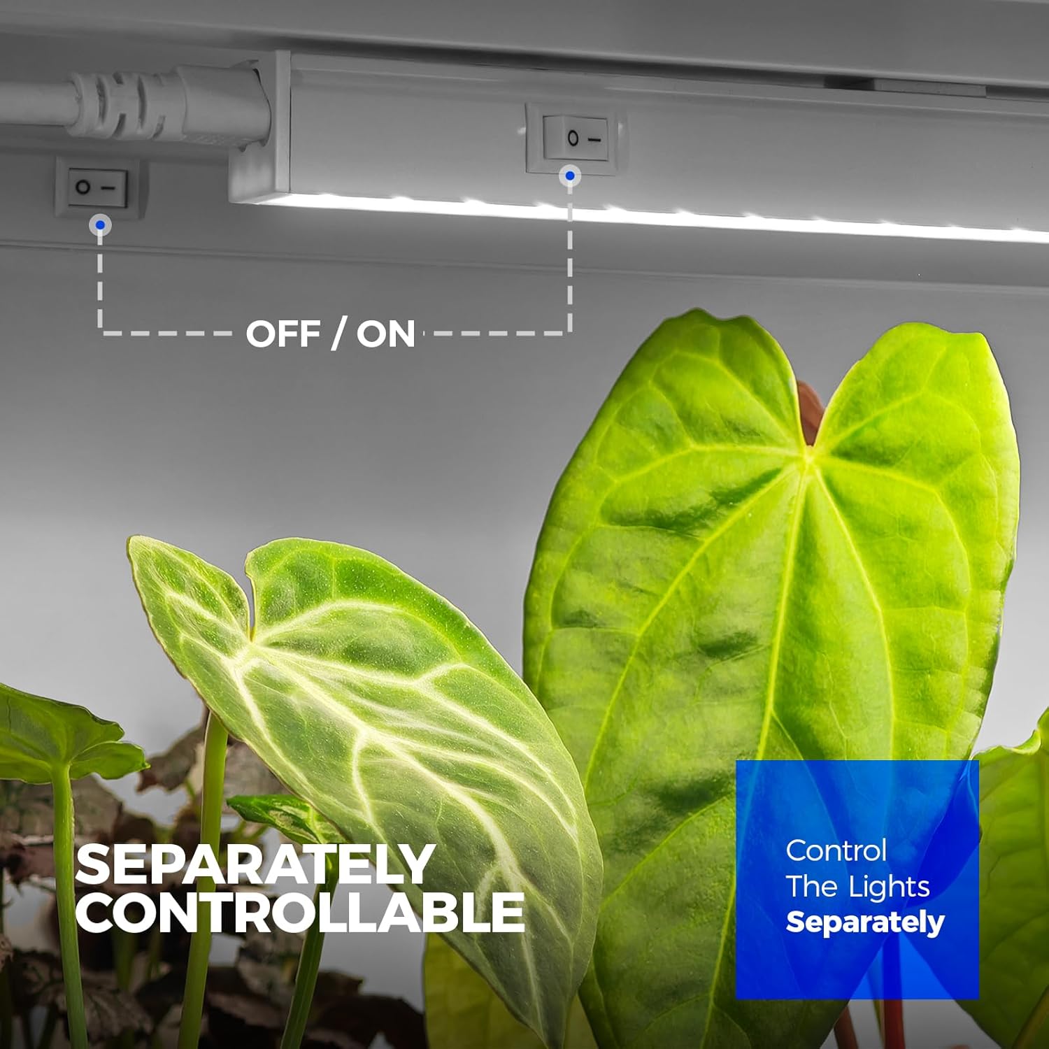 Barrina T5 Grow Lights for Indoor Plants, 5000K Full Spectrum, 1FT, 4 Packs | 1FT LED Growing Lamp, Plant Light Strip