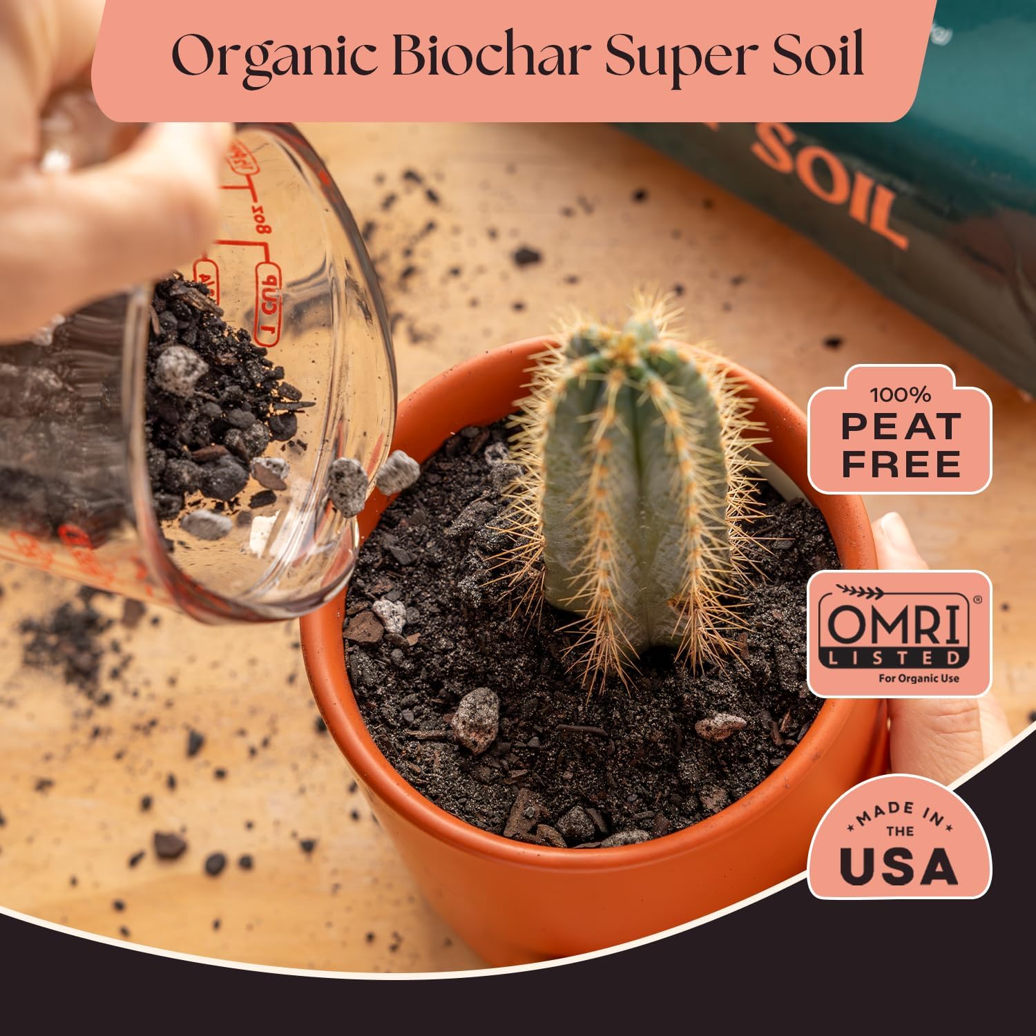Rosy Soil Cactus and Succulent Potting Soil Mix (4 qts) + Indoor Potting Soil (8 qts) - Peat Free House Plant Soil