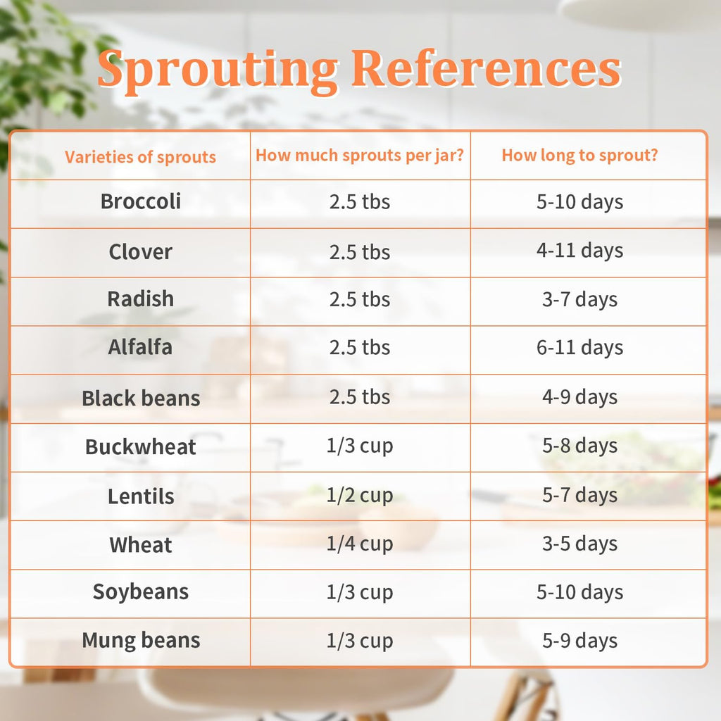 Seed Sprouting Kit with Mung Beans 80g, 2 Large Wide Mouth Mason Jars with Sprout Lids, Blackout Sleeves, Drain Tray