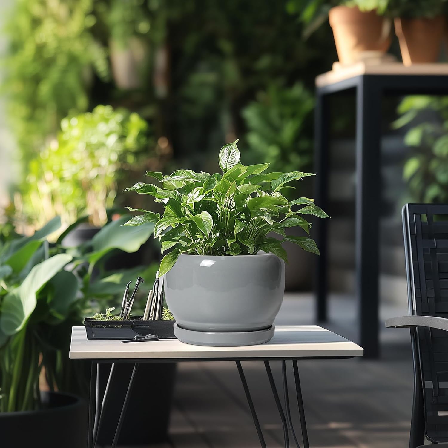 SQOWL Ceramic Pot for Plants - 8 Inch Plant Pot Indoor with Drainage Hole and Saucer, Round Planter Outdoor, Decorative