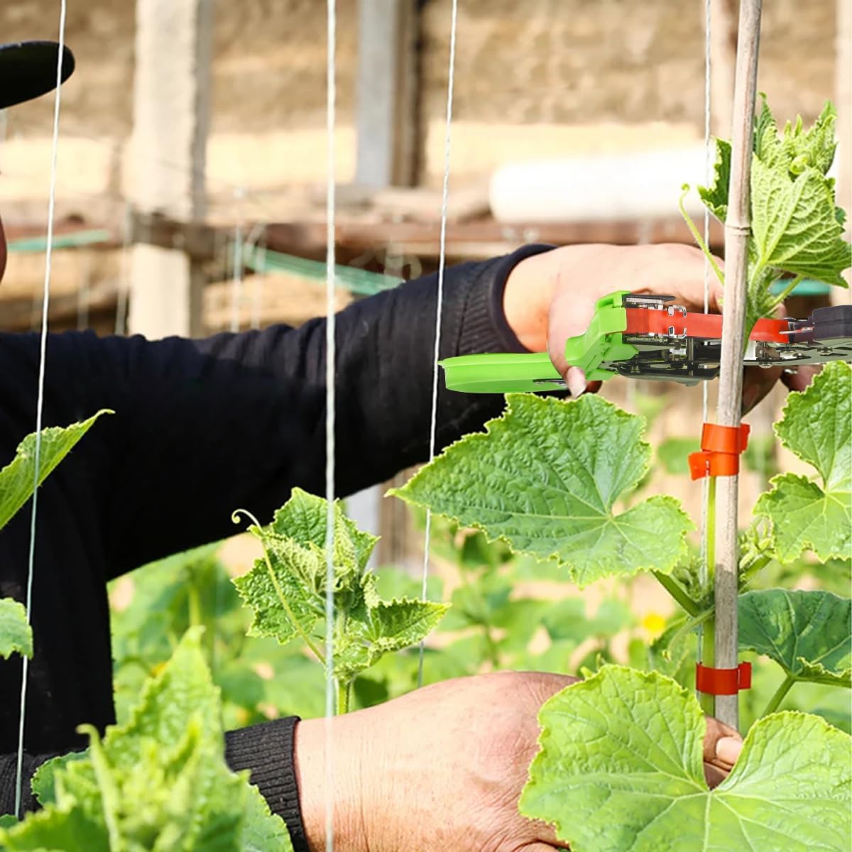 Easy & Fast Plant Tying Machine for Tomatoes, Grapes, Cucumbers - Professional Tying Tool Saves Labor with Spare Tapes