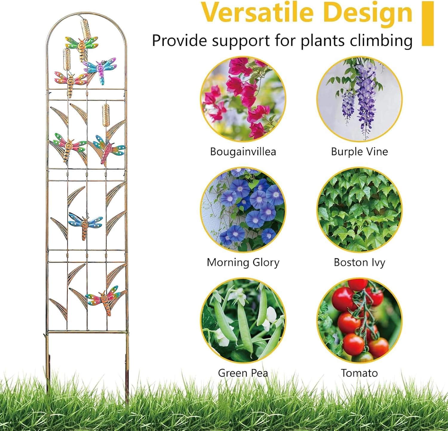 aboxoo 2-Pack Dragonfly Metal Garden Trellis, 60" Decorative Outdoor Fence | For climbing