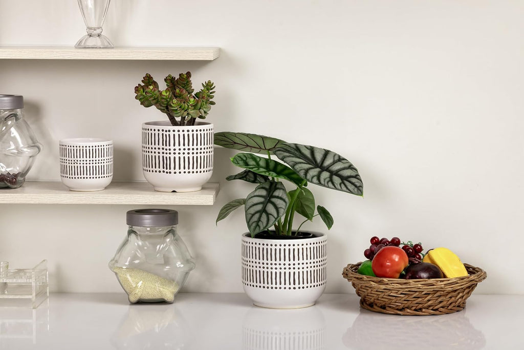 Docrin 3-Pack Ceramic Plant pots Set - 6.5"+5.3"+4" Dual-Tone Flower Pots with Drainage Holes, Modern Indoor Outdoor