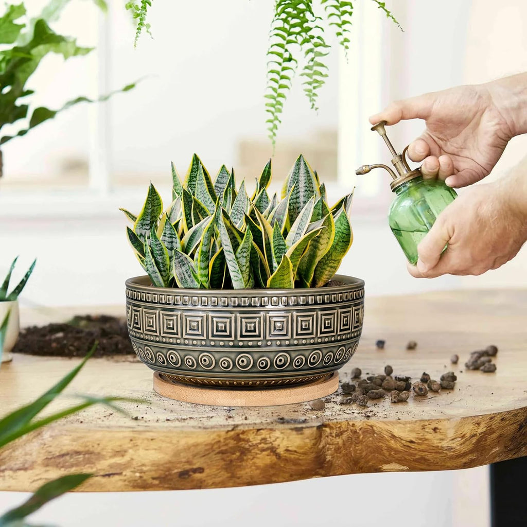 G EPGardening 8 Inch Ceramic Succulent Planter Pots Round Shallow Bonsai Planter Pot for Indoor Plants with Drainage