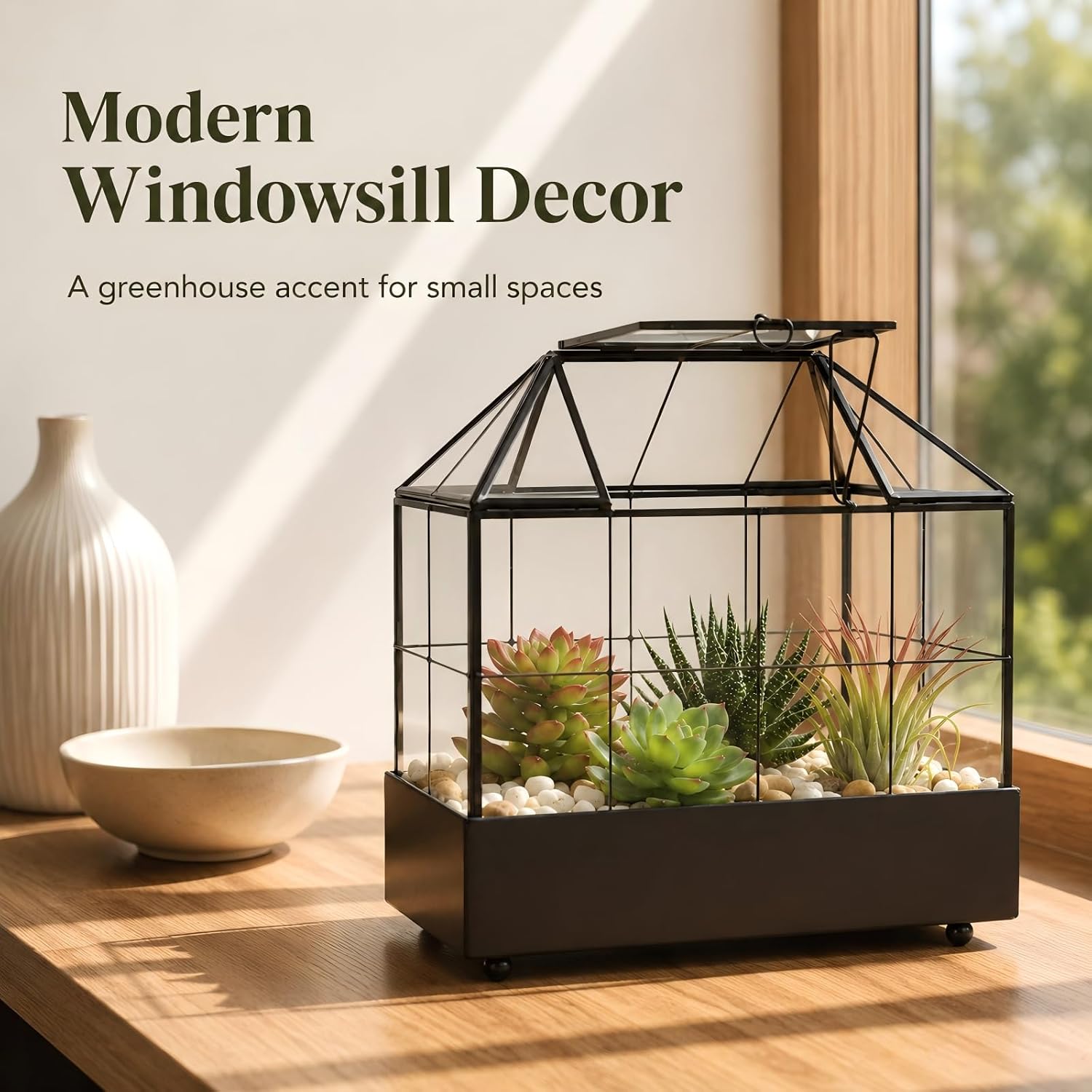 Large Tall Plant Terrarium Glass – Glass Greenhouse Terrarium with Lid and Tray,Indoor Tabletop Orchid Succulent Cacti
