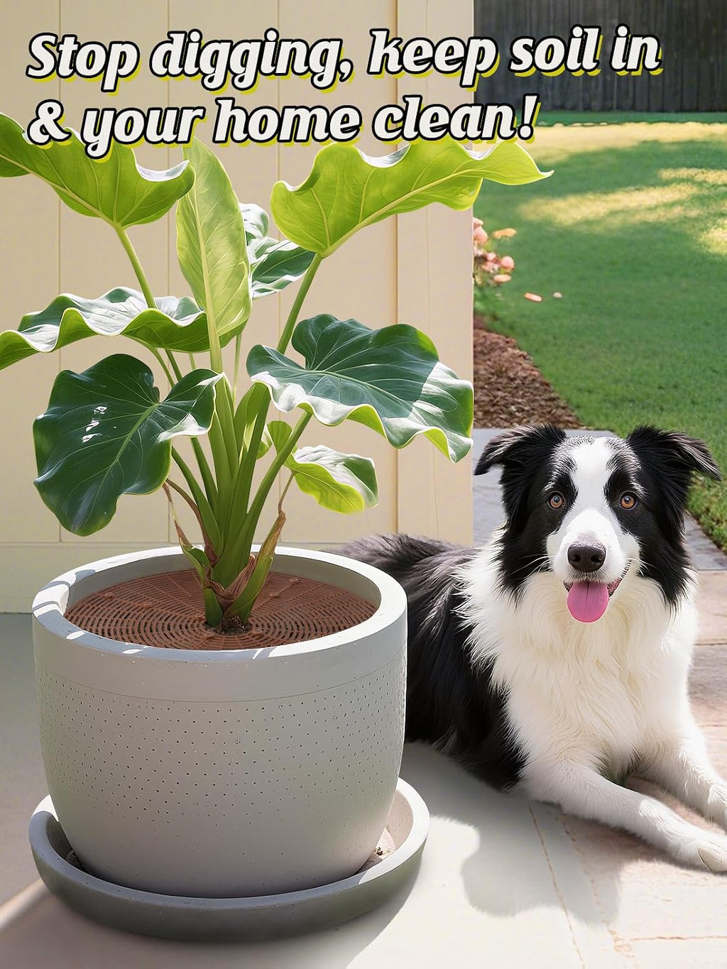 ANPHSIN 3 Plant Pot Grid Cover Protectors from Animals, 20.8" Dia | Cuttable Flower Pot Soil Cover with 36 Stakes, Keep