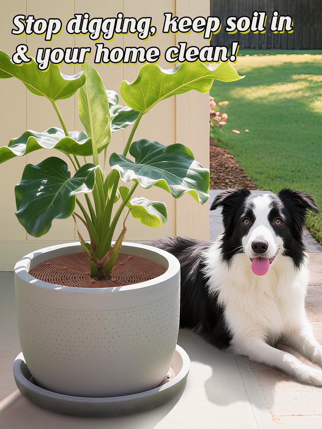 ANPHSIN 3 Plant Pot Grid Cover Protectors from Animals, 20.8" Dia | Cuttable Flower Pot Soil Cover with 36 Stakes, Keep