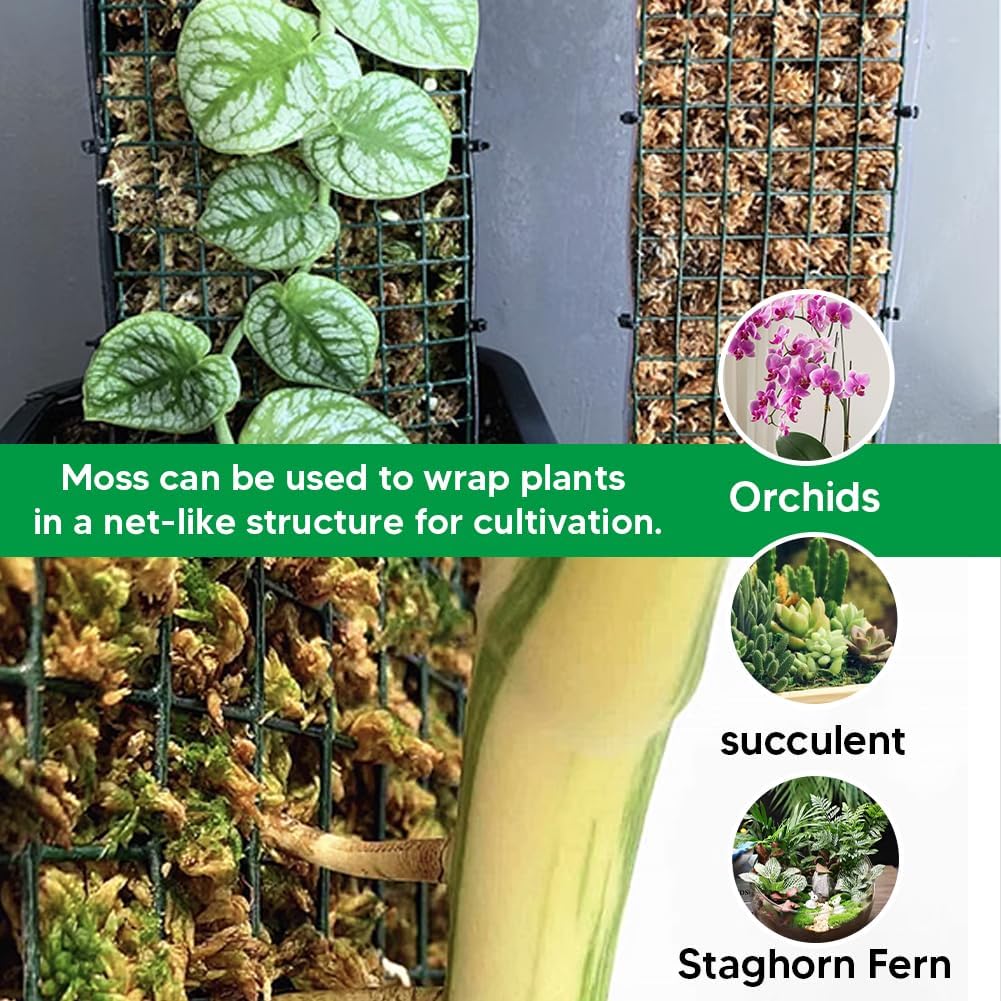 Natural Long Fiber Sphagnum Moss 42QT for Orchid Potting Mix, and Moss Pole for Plants Indoor. Ideal for Propagating