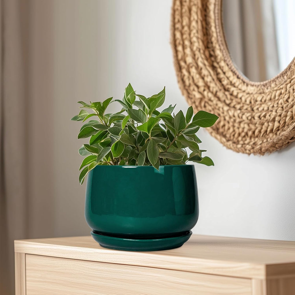G EPGardening Ceramic Pots for Plants - 9 Inch Ceramic Planter for Indoor Plants, Round Planter with Drainage and