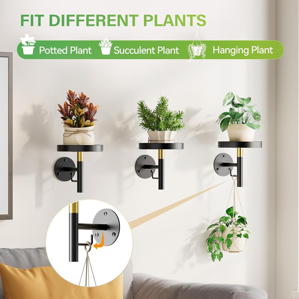 DELLAN Wall Plant Holder, 3 Pack Metal Stand, BlackGold | Hanging Shelves, Indoor Plants, Window Sill Decor, Multi-Room