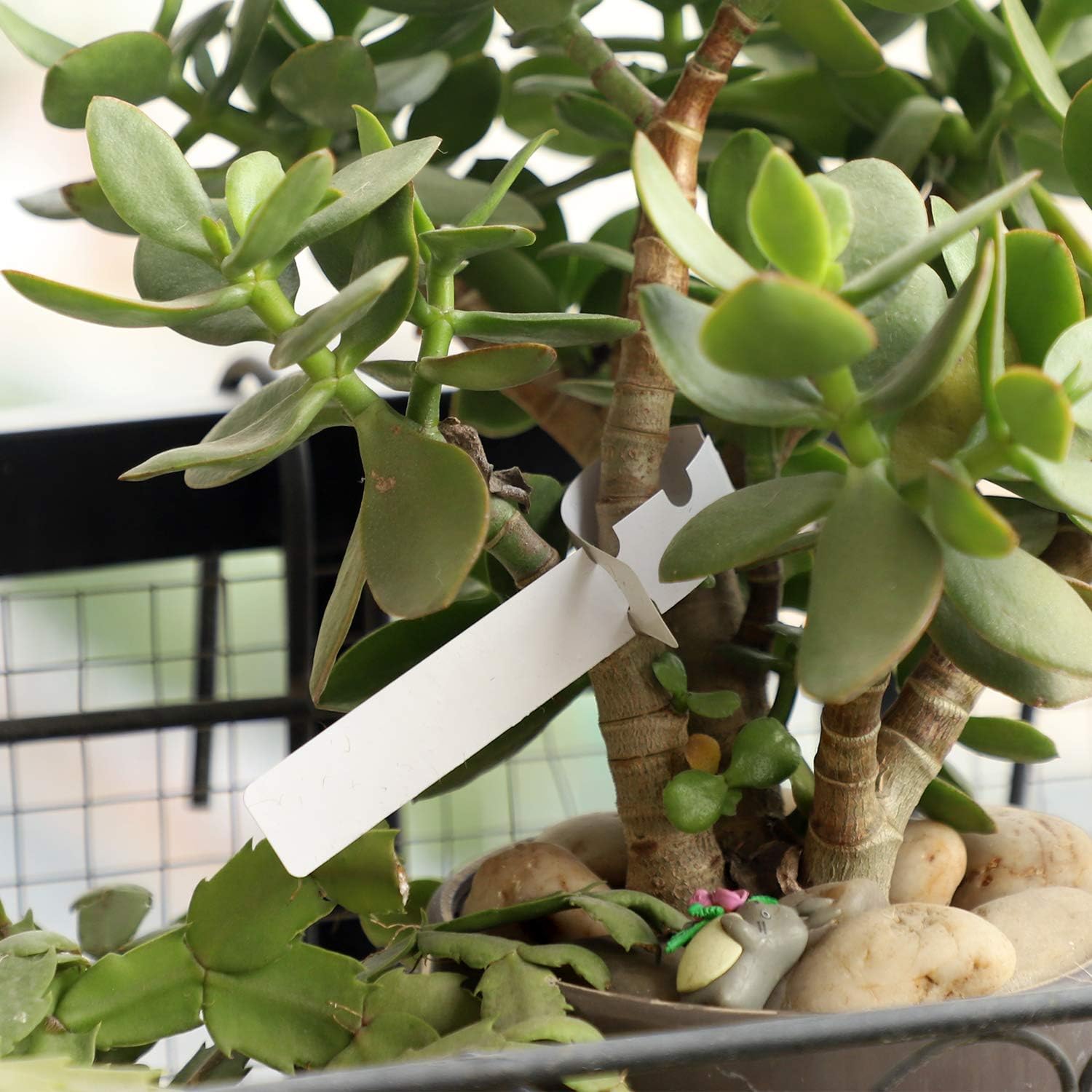 KINJOEK 1200 PCS White Plant Labels Tags, Plastic Adjustable Wrap Around Waterproof Hanging Garden Tree Name Tags