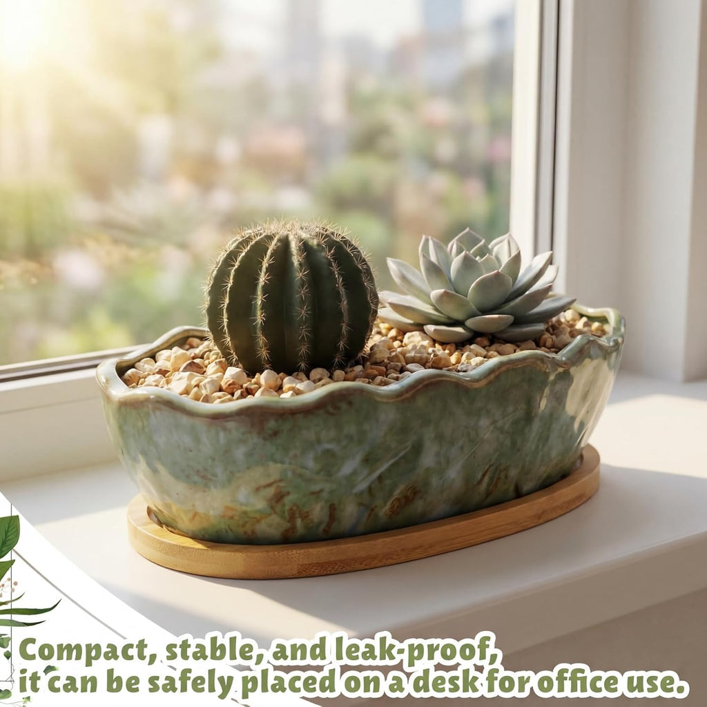 Succulent Pot 11 Inch Large Succulent Planters with Drainage Ceramic Bonsai Pot with Bamboo Tray Round Shallow Planter