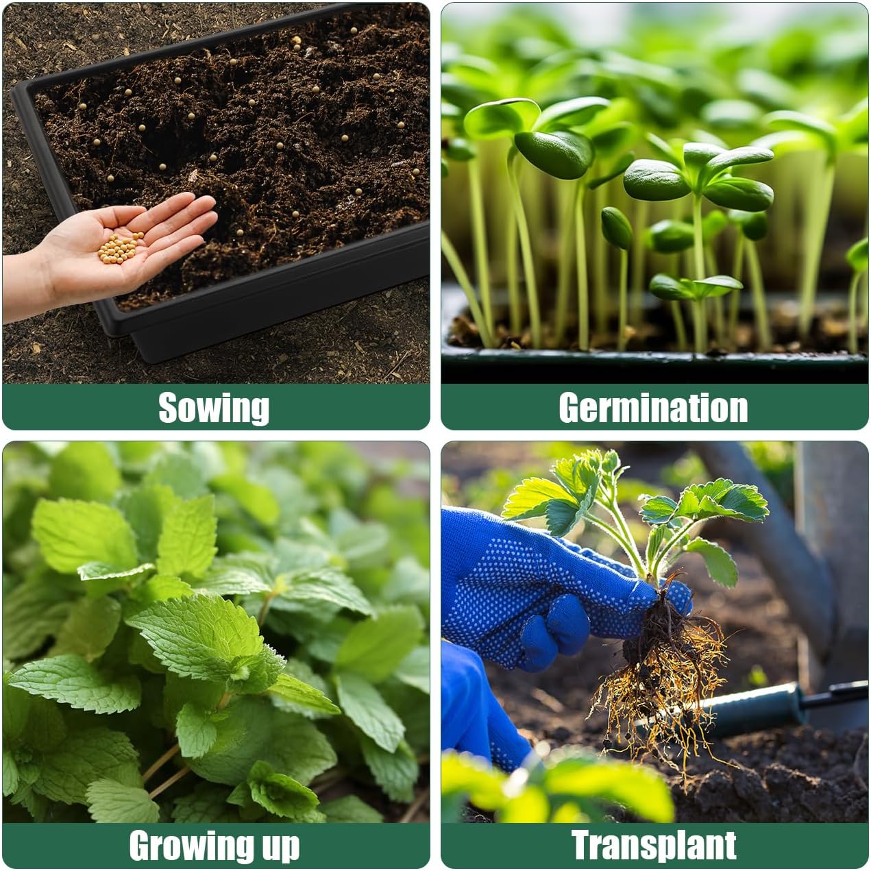 RooTrimmer Seed Starter Kit - 10 Pack 1020 Seed Trays with 2 Seedling Heat Mats for Plants (10"x20.5"), Complete Seed