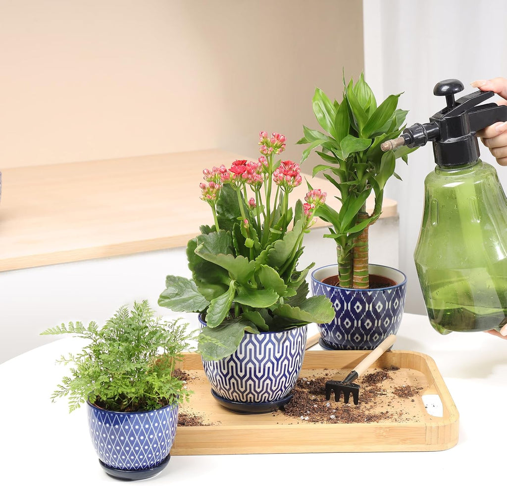 Selamica Ceramic Succulent Pots, 4.6 Inch Small Plant Pots with Drainage Holes & Saucers, Succulent Planters for Indoor
