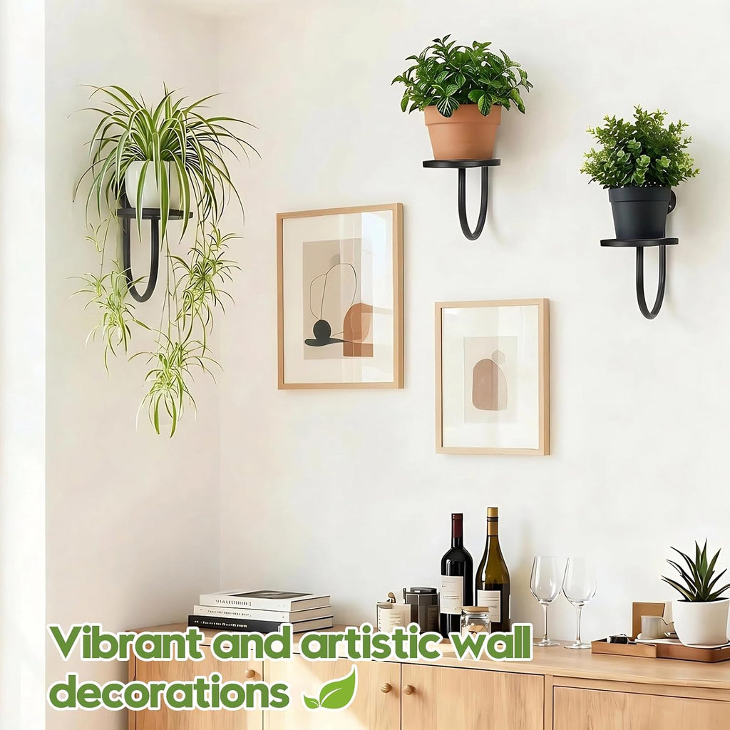 Wall Plant Holder and Hanging Planters for Indoor Plants,Plant Hangers for Indoor Wall Decor and Outdoor Plant Stand(3