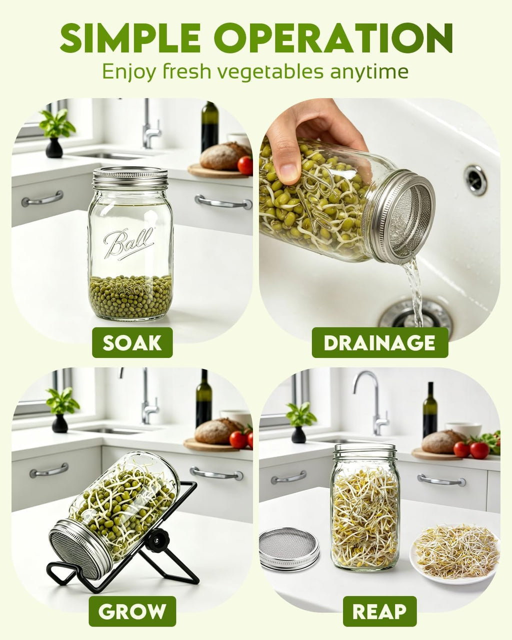 Seed Sprouting Jar Kit & Green Onion Regrower – 6 Regular Mouth Mason Jars with Stainless Steel Sprout Lids, Stand
