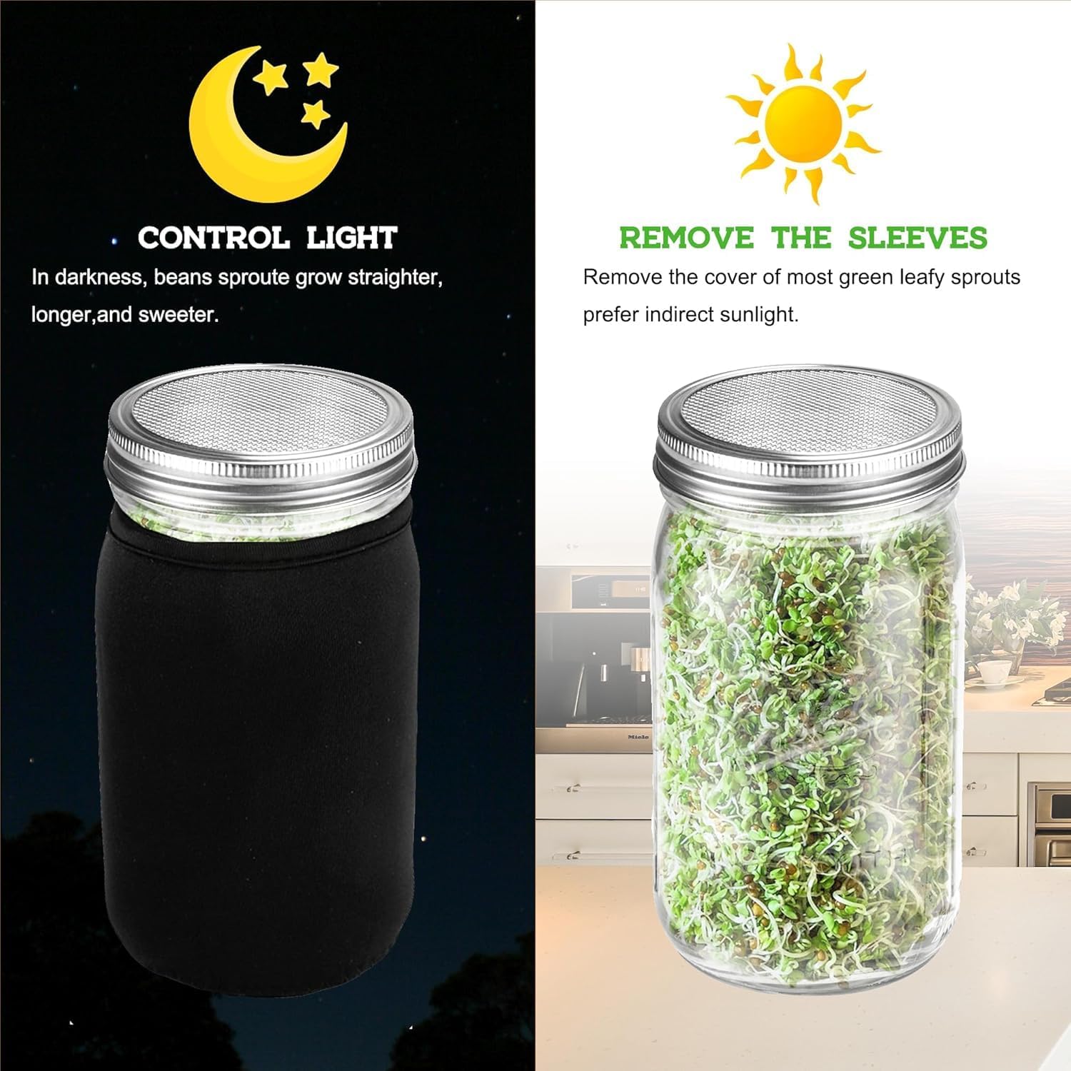 Kitmiido Organic Seed Sprouting Jar Kit – 2 × 32 oz Wide-Mouth Mason Jars | Stainless-Steel Sprouter Lids & Stand