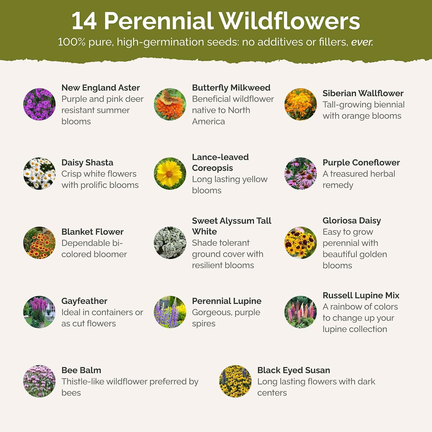 Eden Brothers Northeast All Perennial Wildflower Mixed Seeds, 5 lb | Mixed Seeds for Planting, 2,400,000+ Seeds with